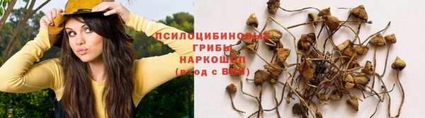 индика Вязьма