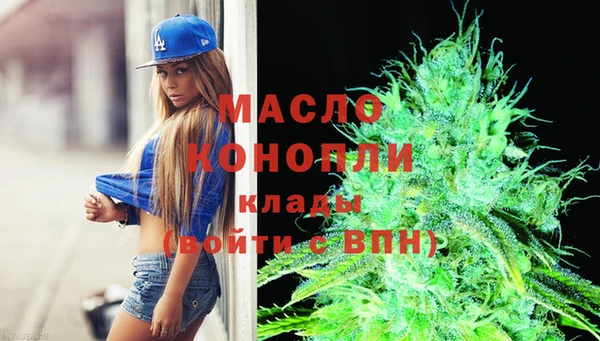 индика Вязьма