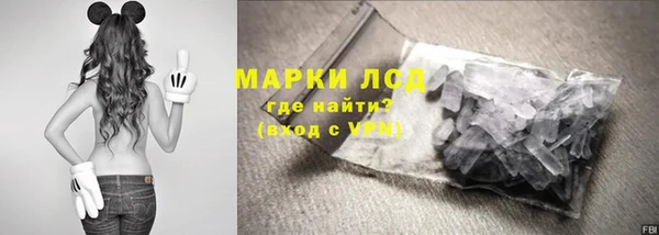 индика Вязьма