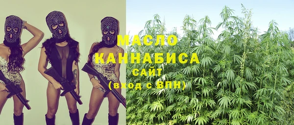 индика Вязьма