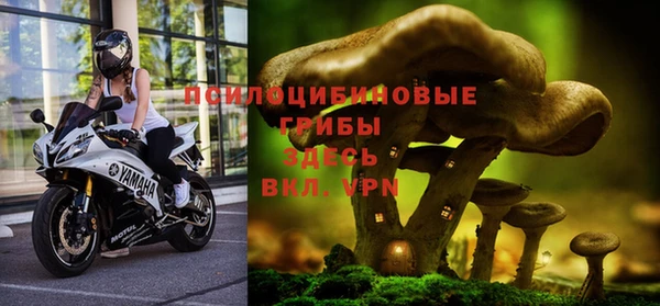 дурь Вязники