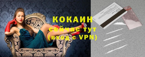 индика Вязьма