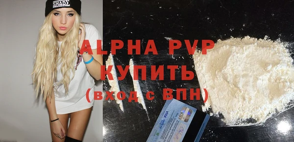 индика Вязьма